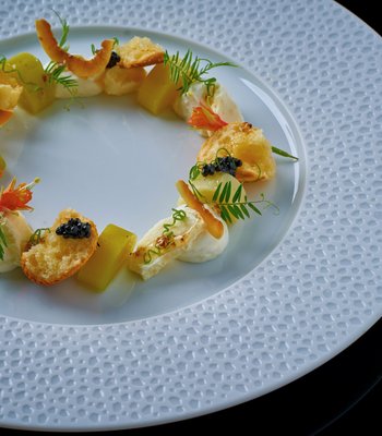 Изысканный ресторан в центре Праги - Изысканная кухня в Праге