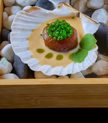Вегетарианское дегустационное меню - Изысканная кухня в Праге