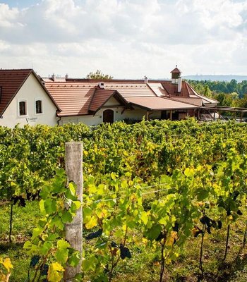 Эксклюзивные вина - Изысканная кухня в Праге